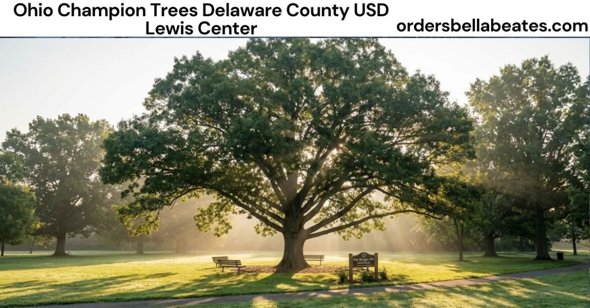 Ohio Champion Trees Delaware County USD Lewis Center