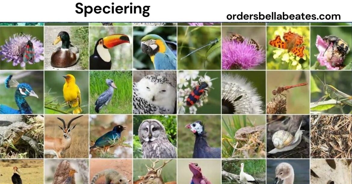 Speciering